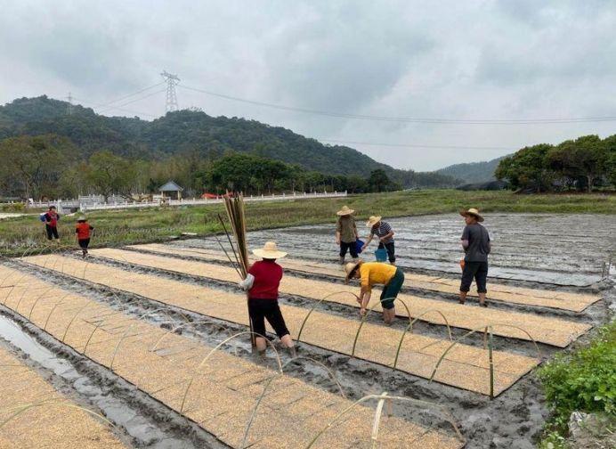 三星村委會(huì )最新交通新聞