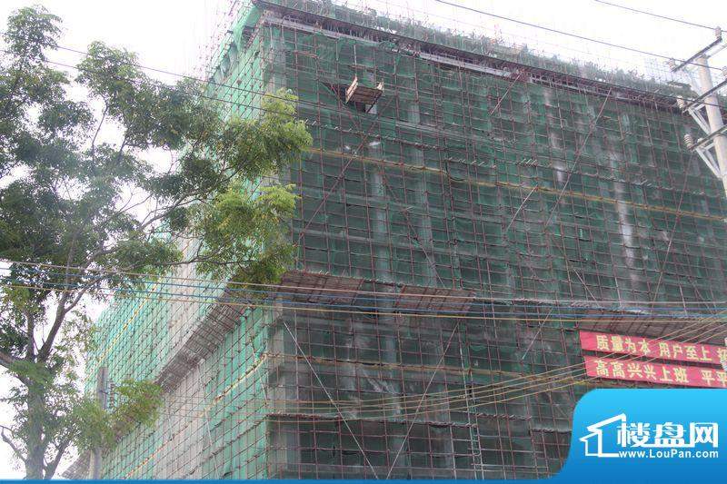 信高揚 第4頁(yè)