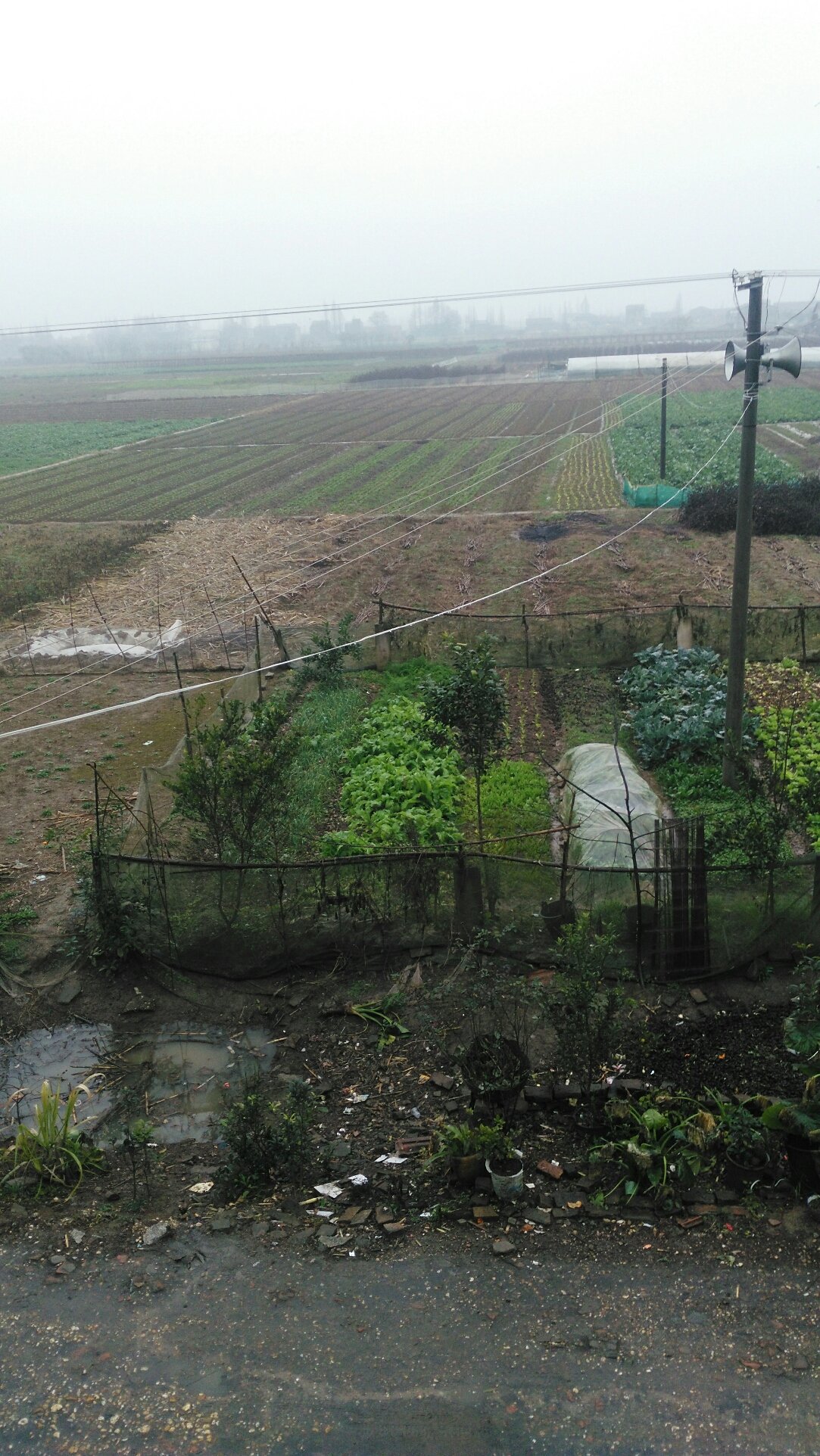 北景港鎮最新天氣預報