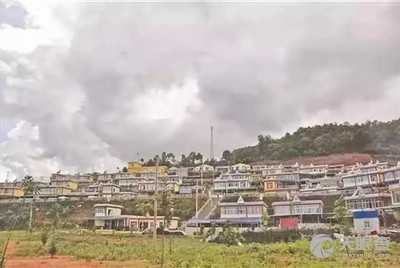 皮昆卉 第4頁(yè)