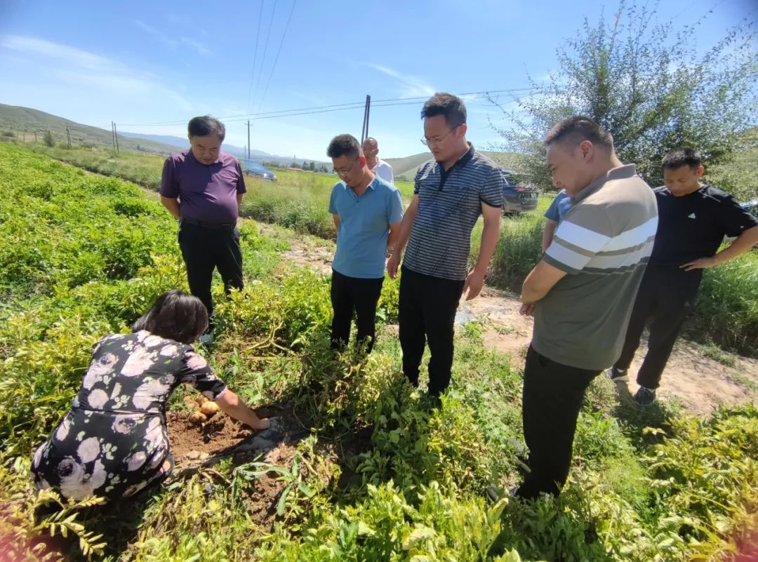 武川縣農業(yè)農村局最新新聞