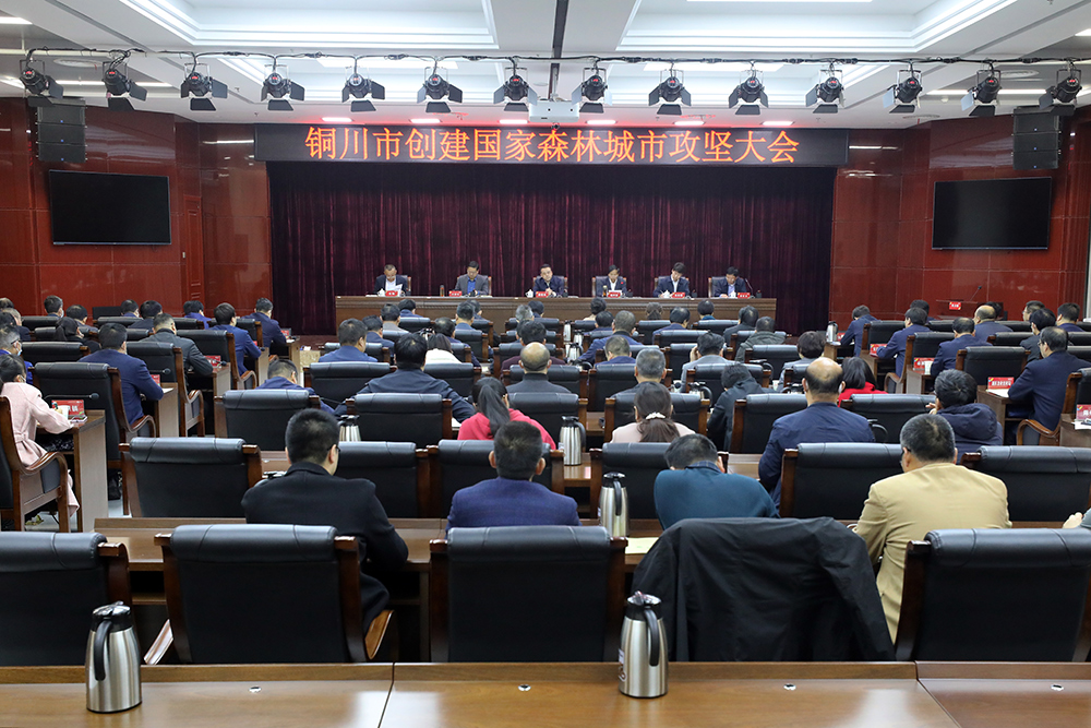 銅川市市林業(yè)局最新新聞