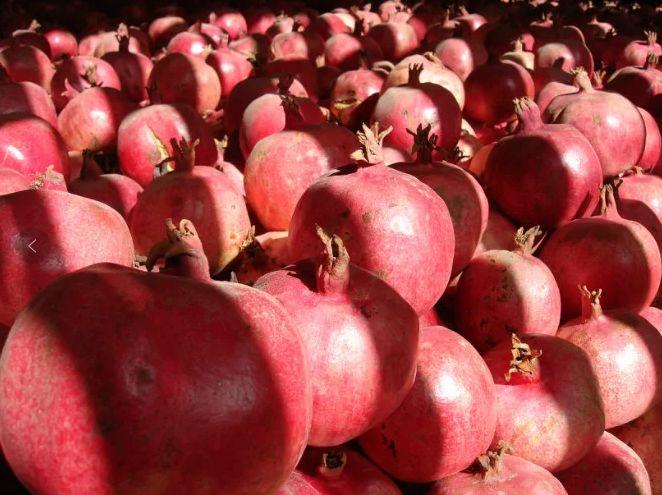 玉吉村最新領(lǐng)導