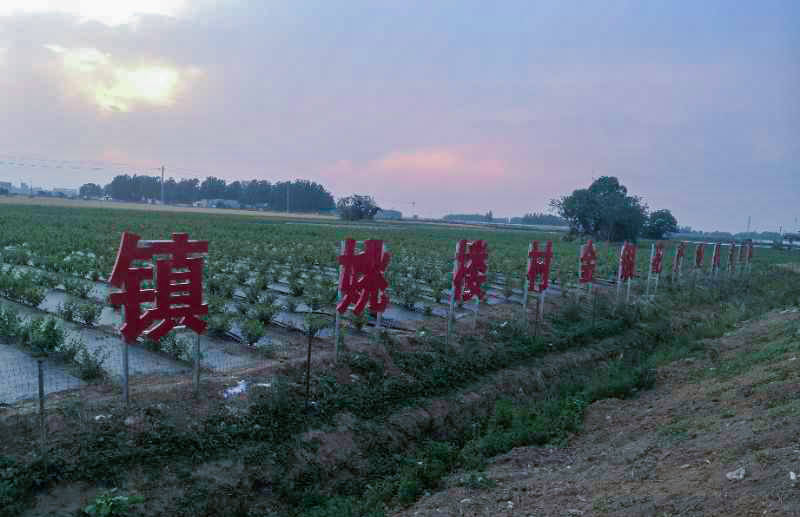 劉店鎮最新發(fā)展規劃