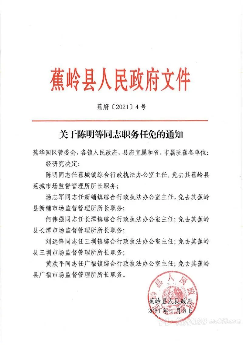 蕉嶺縣財政局最新人事任命