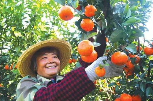 龍門(mén)縣柑桔場(chǎng)最新天氣預報