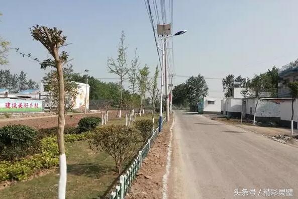 馬槽溝村委會(huì )最新新聞