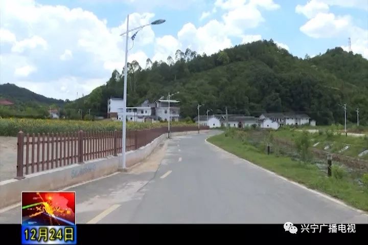 麥加村最新交通新聞