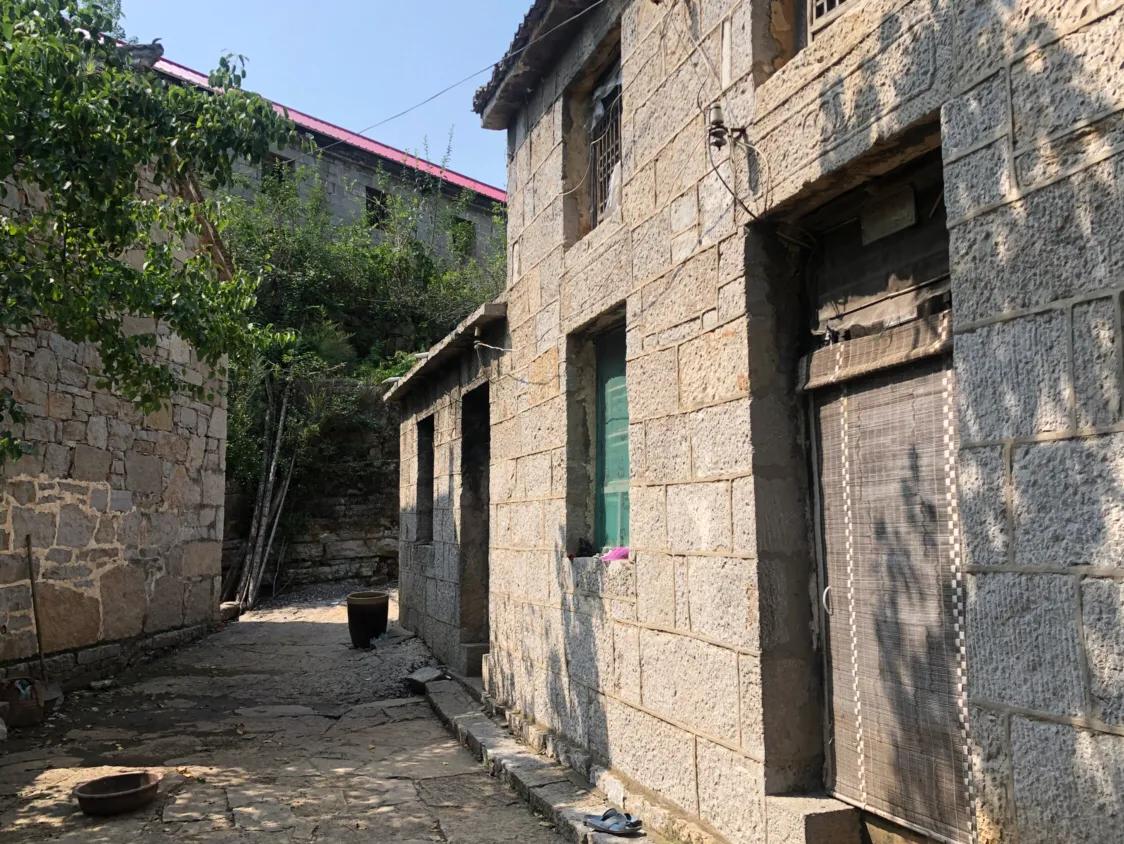 金山村最新新聞