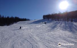 霍各莊鎮最新天氣預報