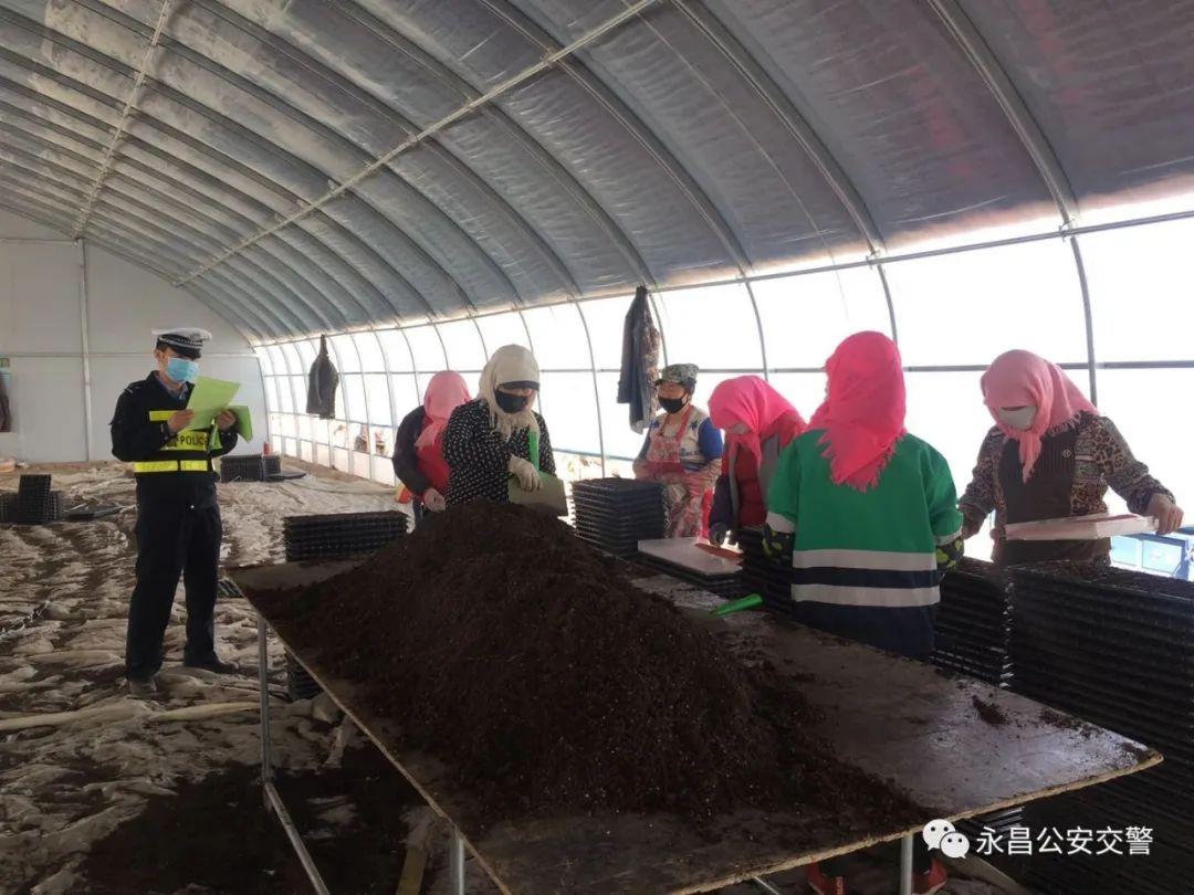 朱王堡鎮最新交通新聞