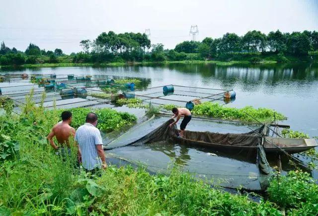 余石村最新發(fā)展規劃