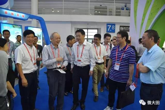 城父鎮最新交通新聞