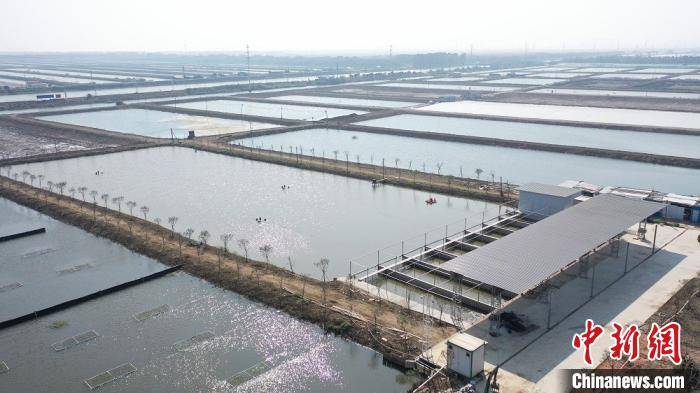 南沙群島農業(yè)農村局最新項目