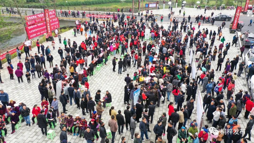 桐梓縣計劃生育委員會(huì )等最新招聘信息