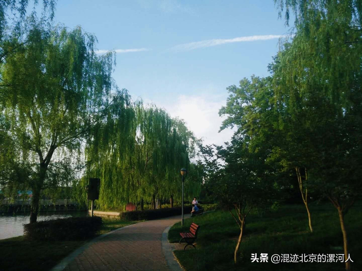 召陵區人力資源和社會(huì )保障局最新領(lǐng)導