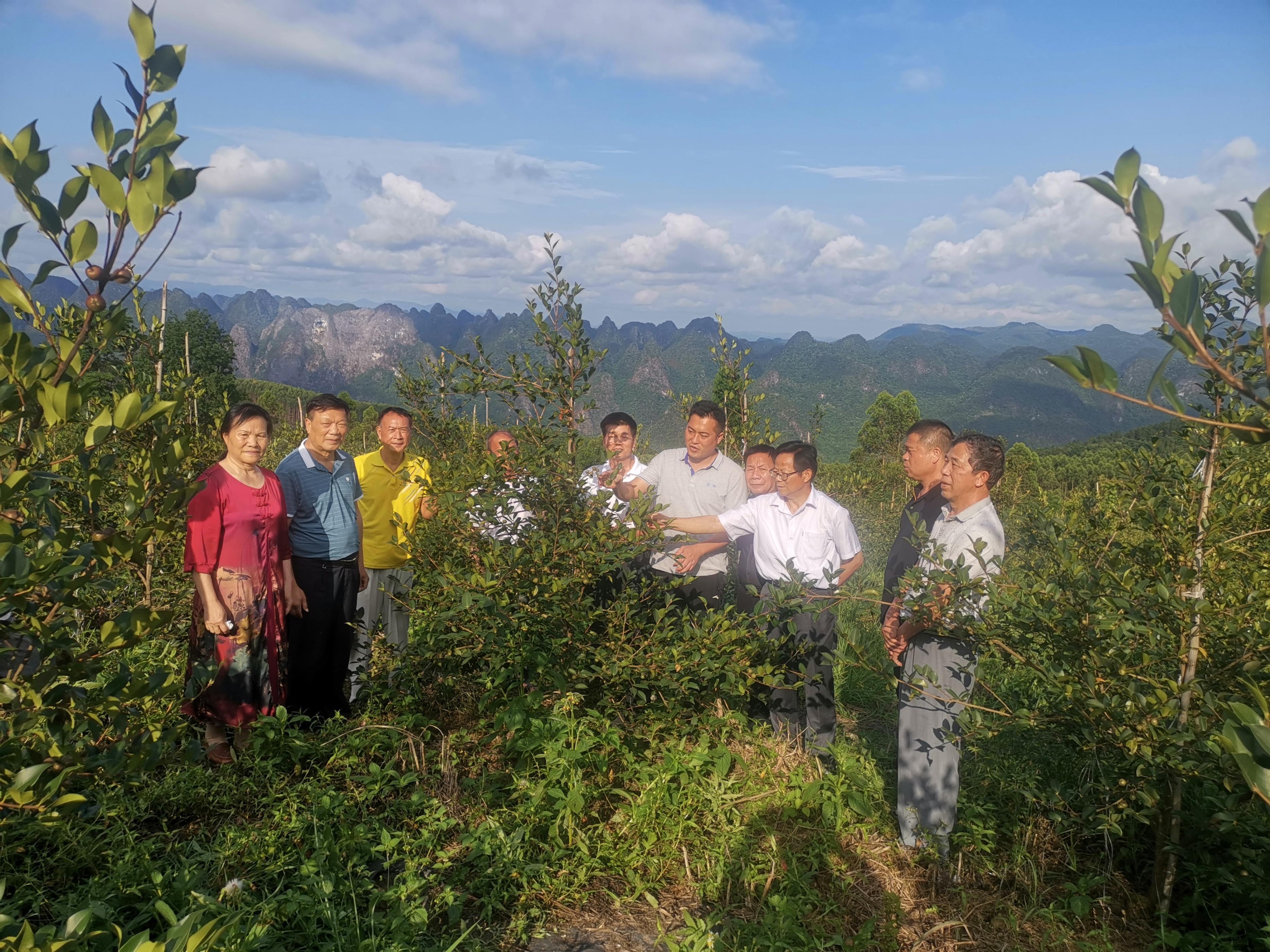 中洲鄉最新領(lǐng)導