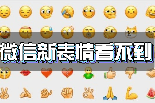 微信表情更新缺失，探究原因與影響
