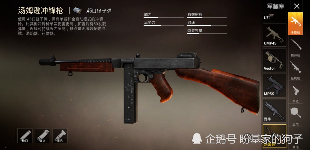 和平精英最新槍支揭秘，探索新武器的獨特魅力與特點(diǎn)