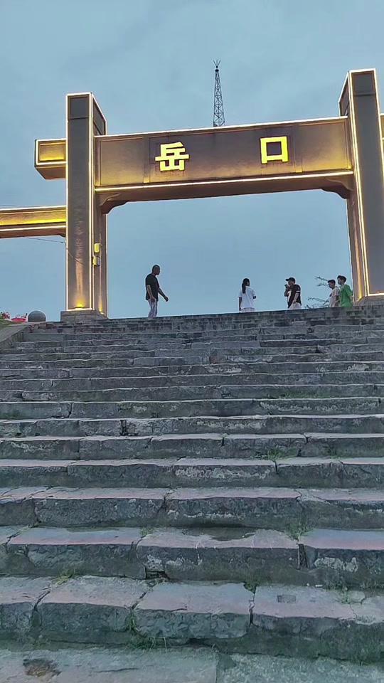 岳口最新消息全面解讀與分析