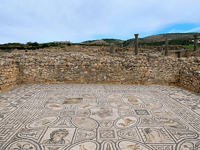 北非疫情最新動(dòng)態(tài)，挑戰與希望交織