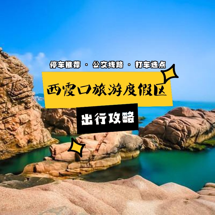 西霞口最新消息全面解讀與分析