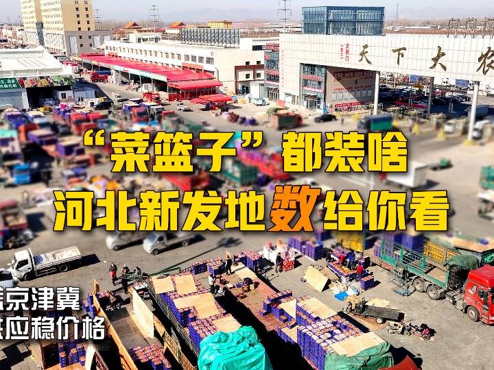 新發(fā)地最新進(jìn)展，持續更新與未來(lái)展望概覽