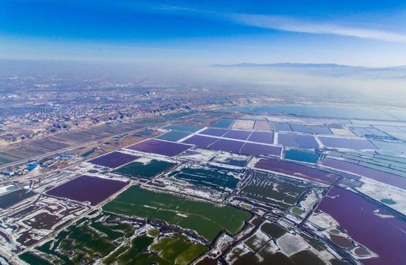 鹽池縣最新全面消息報道匯總