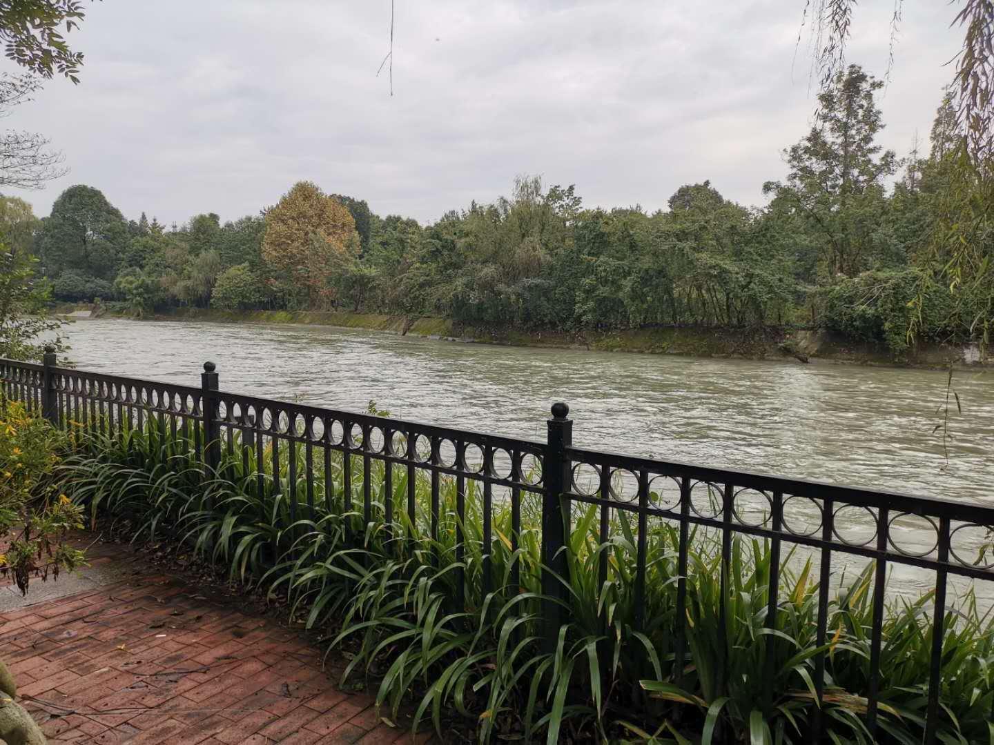 成都大學(xué)毛洪濤事件深度探究，反思與啟示