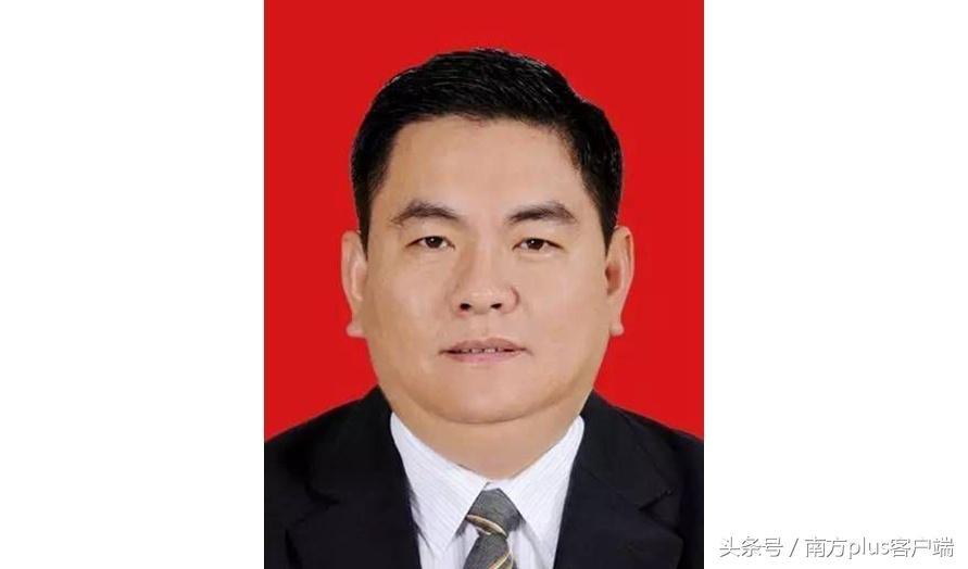 林廣華最新動(dòng)態(tài)，開(kāi)啟新篇章