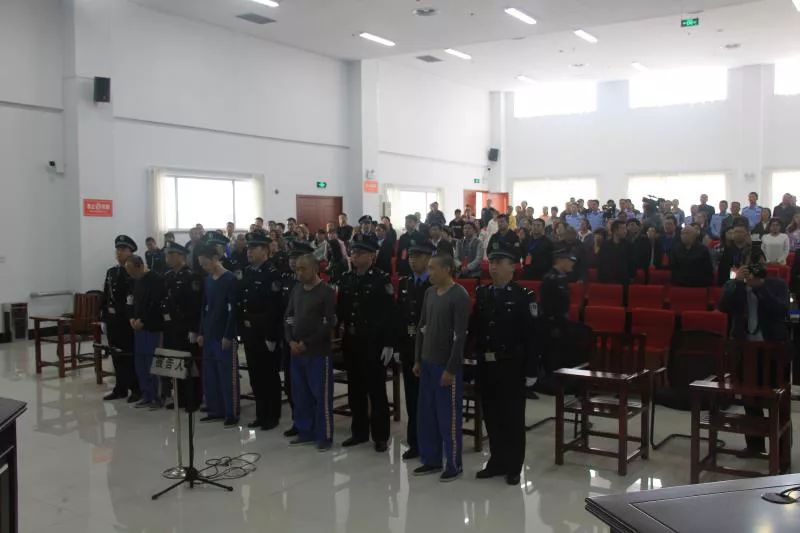 王世君最新動(dòng)態(tài)揭秘，揭開(kāi)神秘面紗，開(kāi)啟新篇章