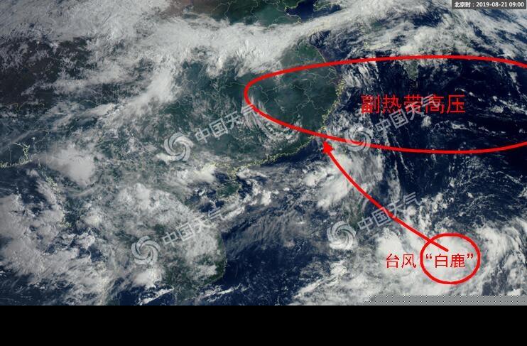 嬰鵡臺風(fēng)最新路徑圖及影響與應對策略解析