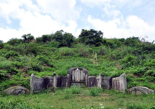 普僑區最新動(dòng)態(tài)全面解讀