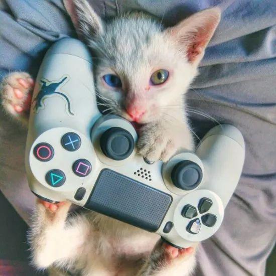 全球視角下的疫情最新動(dòng)態(tài)，國內外抗疫進(jìn)展綜述