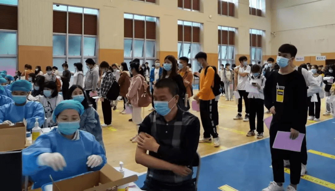 陳焱華最新動(dòng)態(tài)，成功背后的神秘面紗揭曉