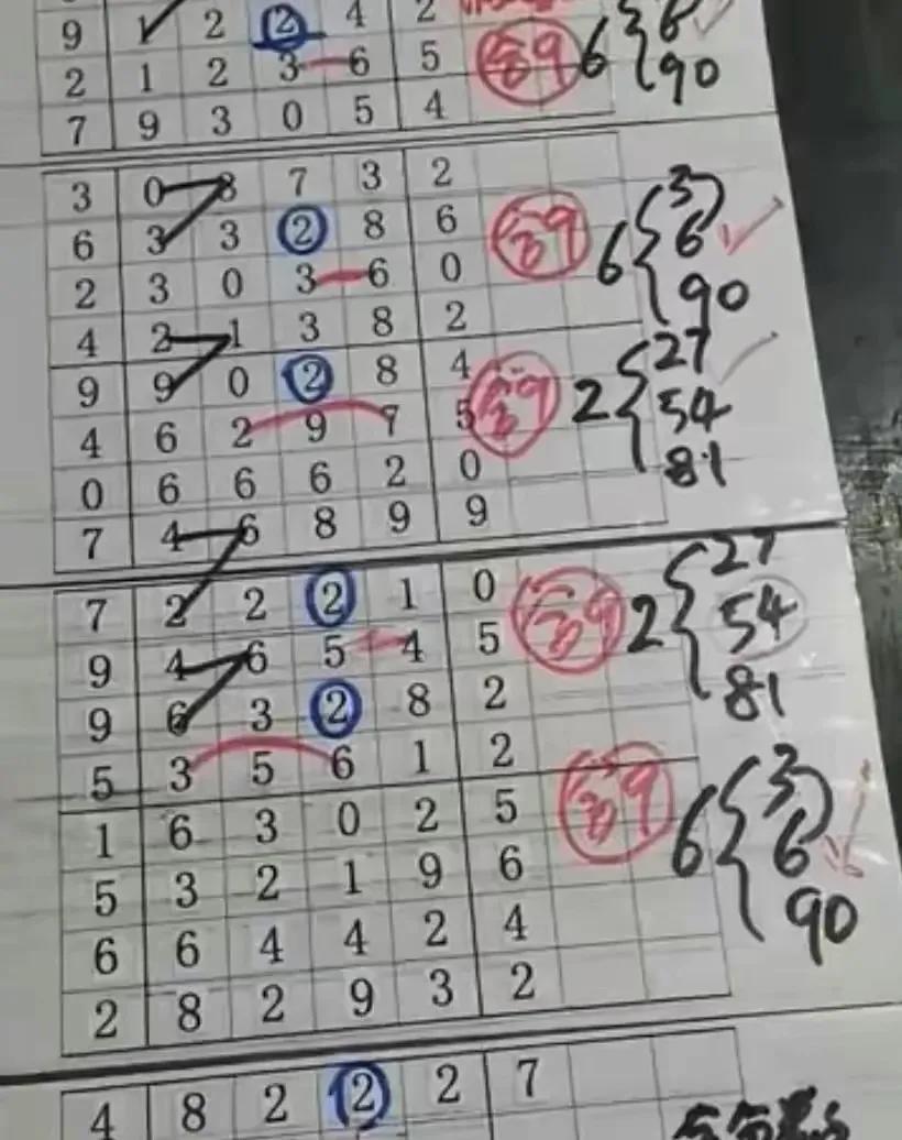 體育彩票排列五最新動(dòng)態(tài)深度解析