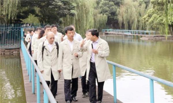 遼寧鐵礦新進(jìn)展，雙輪驅動(dòng)產(chǎn)業(yè)升級與綠色發(fā)展之路