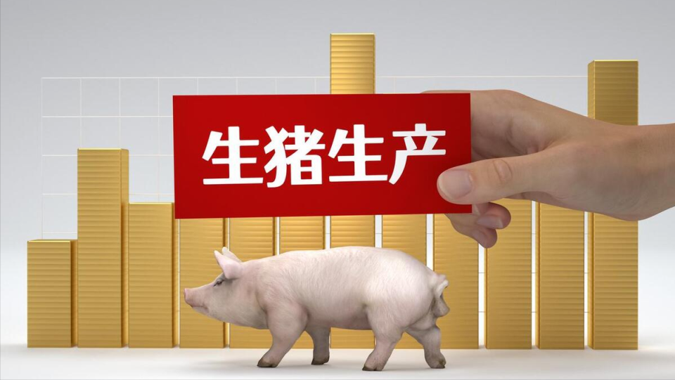 最新豬價(jià)行情走勢解析，市場(chǎng)趨勢與影響因素下的豬價(jià)大跌可能性探討