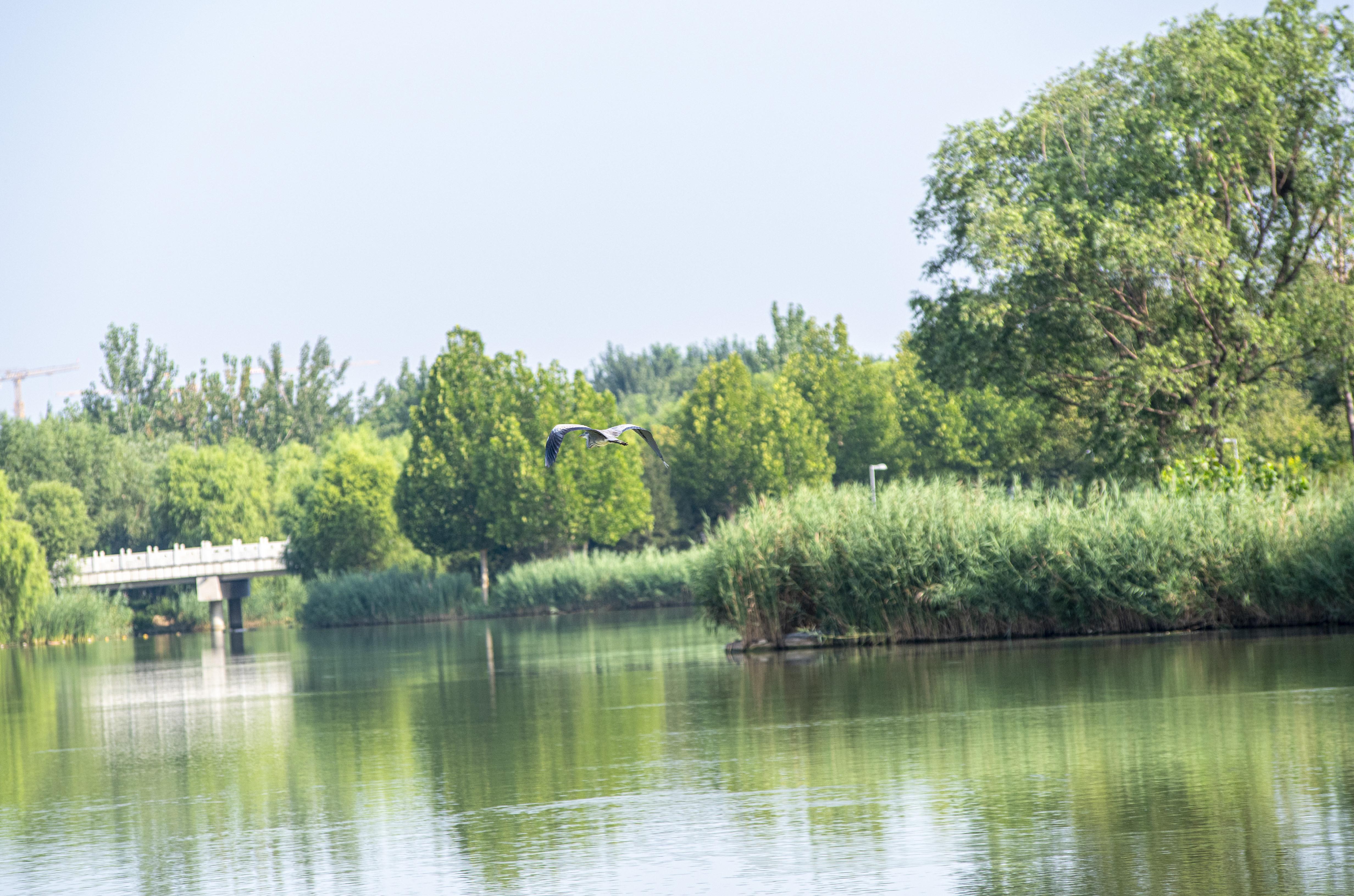 最新小長(cháng)焦相機技術(shù)革新及實(shí)際應用探討