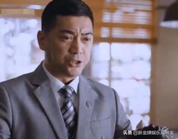 家庭的真諦與情感的深度探索，電視劇以家為名最新熱播紀實(shí)