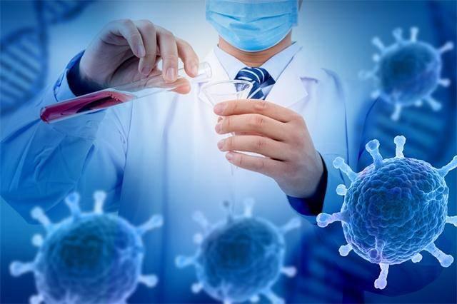 全球疫情最新數據報告，動(dòng)態(tài)分析與趨勢預測（截至6月24日）