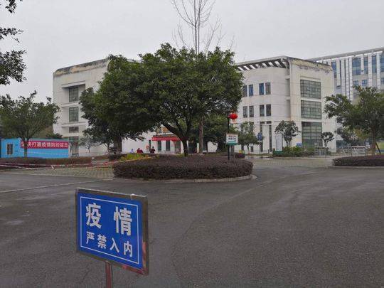 成都新冠肺炎最新消息全面解析與動(dòng)態(tài)更新