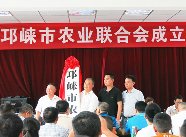 成都邛崍最新發(fā)展動(dòng)態(tài)，城市脈搏與民生改善同步前行