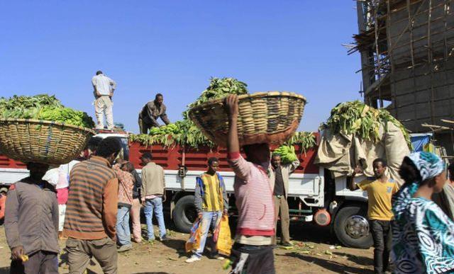 非洲與中國最新合作動(dòng)態(tài)，深化合作與交流開(kāi)啟新篇章