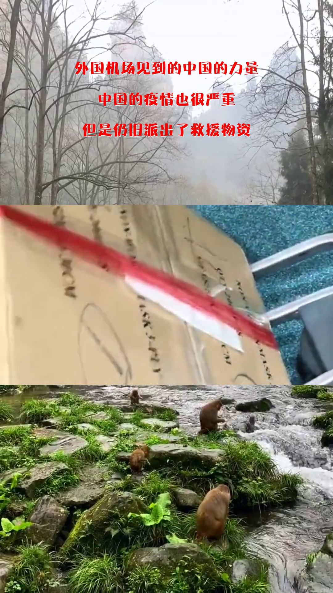 中國疫情嚴峻，全面應對，堅定信心迎挑戰