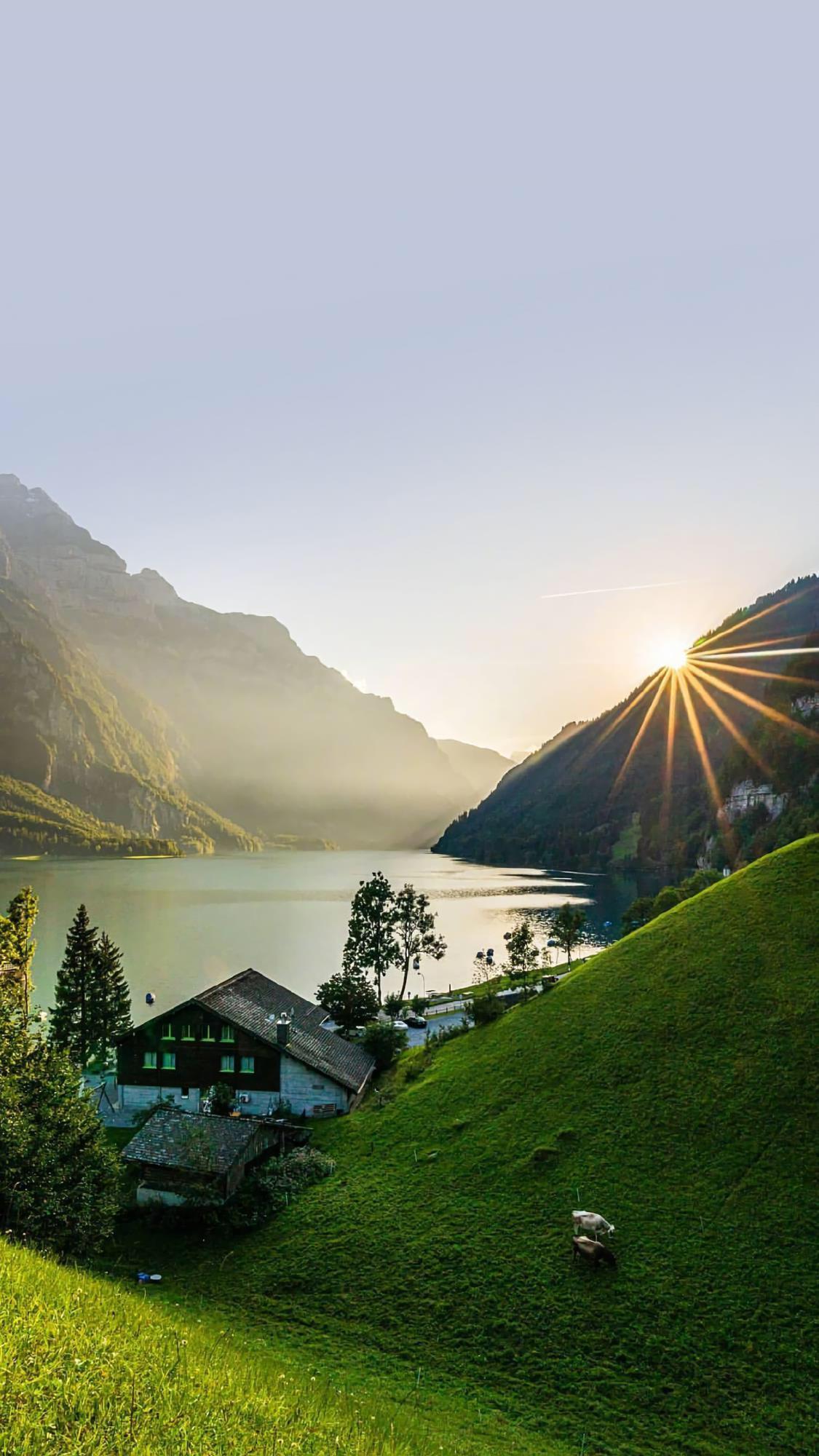 向往的生活最新播出時(shí)間揭秘，探尋詩(shī)意田園生活的遠方